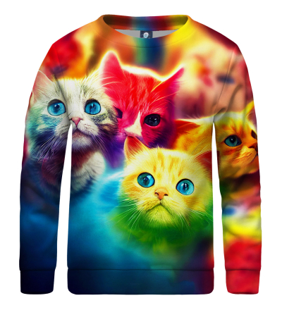 Colorful Kittens kids sweater