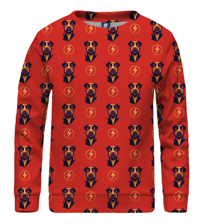 Flash Dog pattern kids sweater