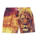 Lionel shorts