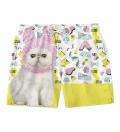 Little kitty shorts
