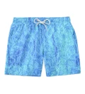 Cookie Monster shorts