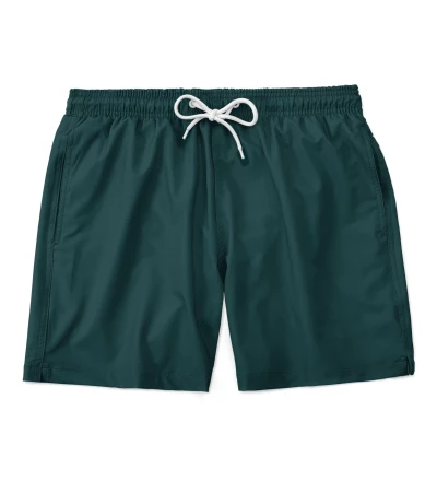 Sea Green shorts