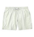 Olive Lines shorts, Green