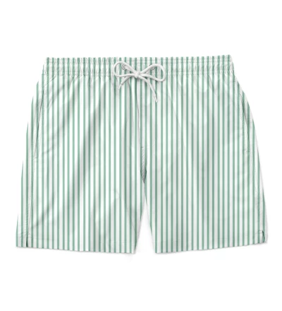 Green Lines shorts