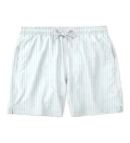 Mint Lines shorts
