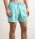 Ice Mint shorts