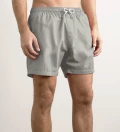Silver Dust shorts