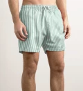 Green Lines shorts