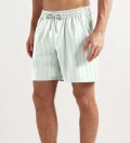 Aquamarine Lines shorts