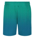 Phthalo ANTI SOCIAL Casual Shorts