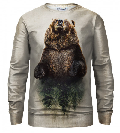 Bear sweatshirt