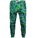 Spodnie dresowe Tropical Colors