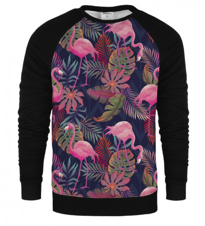 Flamingos raglan sweatshirt