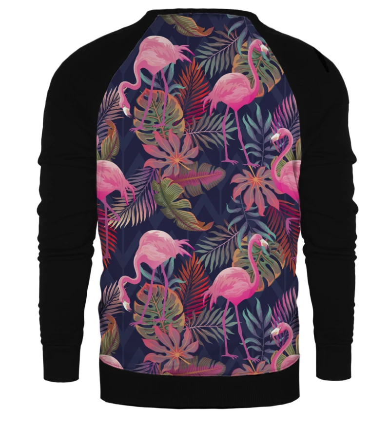 Sweatshirt raglan Flamingos