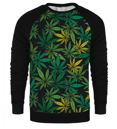 Typical Leaves raglan sweatshirt