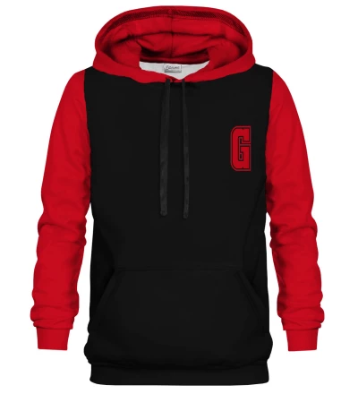Lion Emblem hoodie