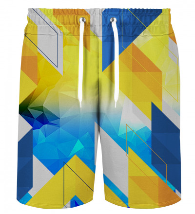 Geometry shorts