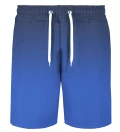 Blue Gradient shorts