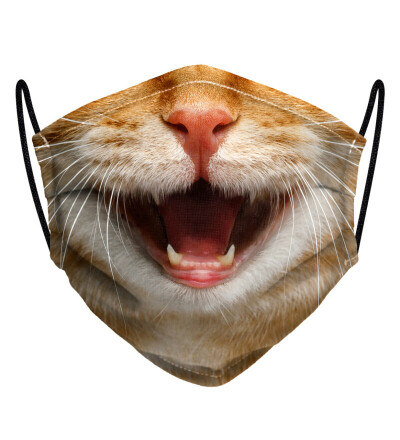 Cat Smile face mask