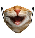 Cat Smile womens face mask