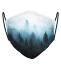 Blue Forest face mask