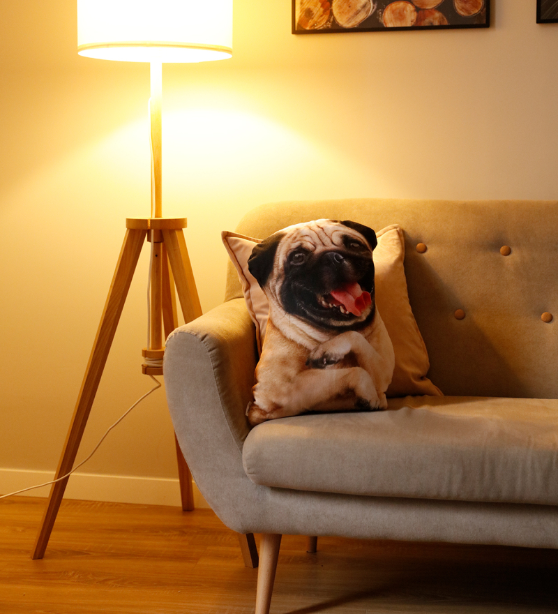 Coussin Pug