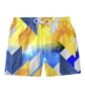 Geometry swim shorts
