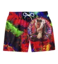 Colorful Shaman swim shorts