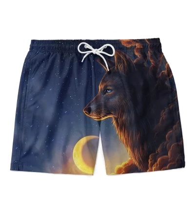 Night Guardian swim shorts