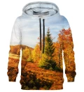 Autumn Forest womens hoodie
