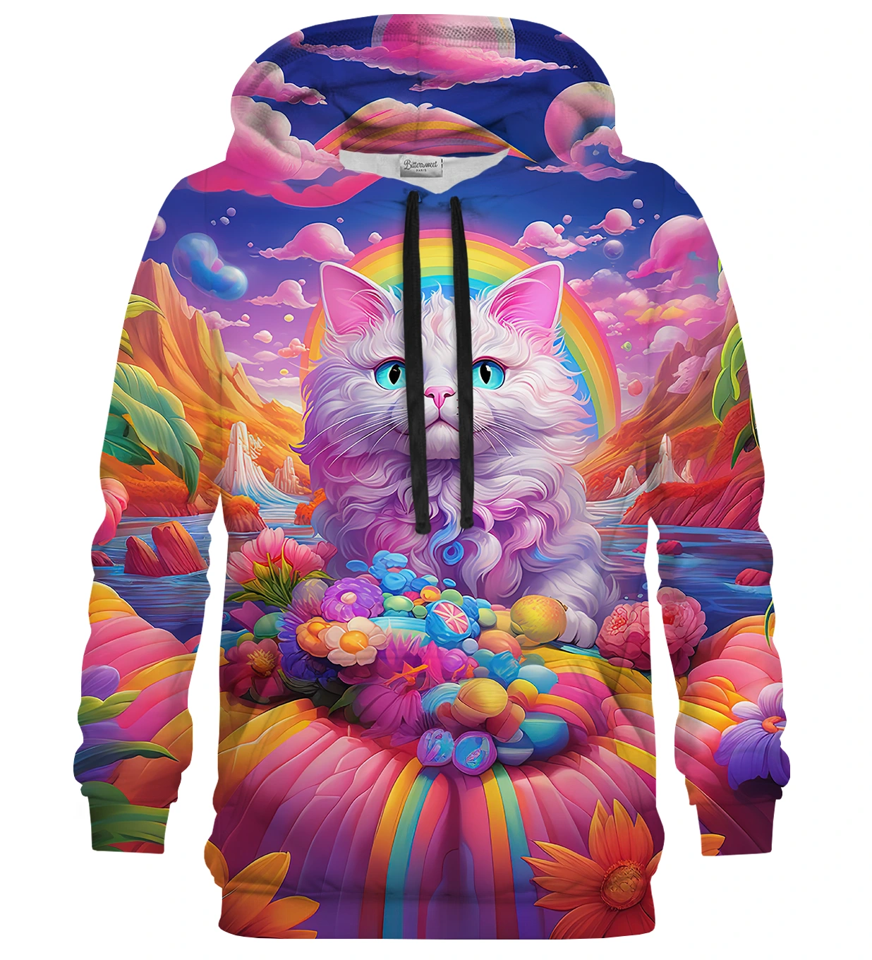 Rainbow 2025 cat hoodie