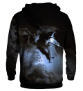 Fly You Fools hoodie