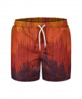 SOLARIS Swim Shorts
