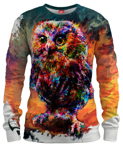 LITTLE BRAVE OWL Womens sweater