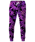 Spodnie PURPLE WEED