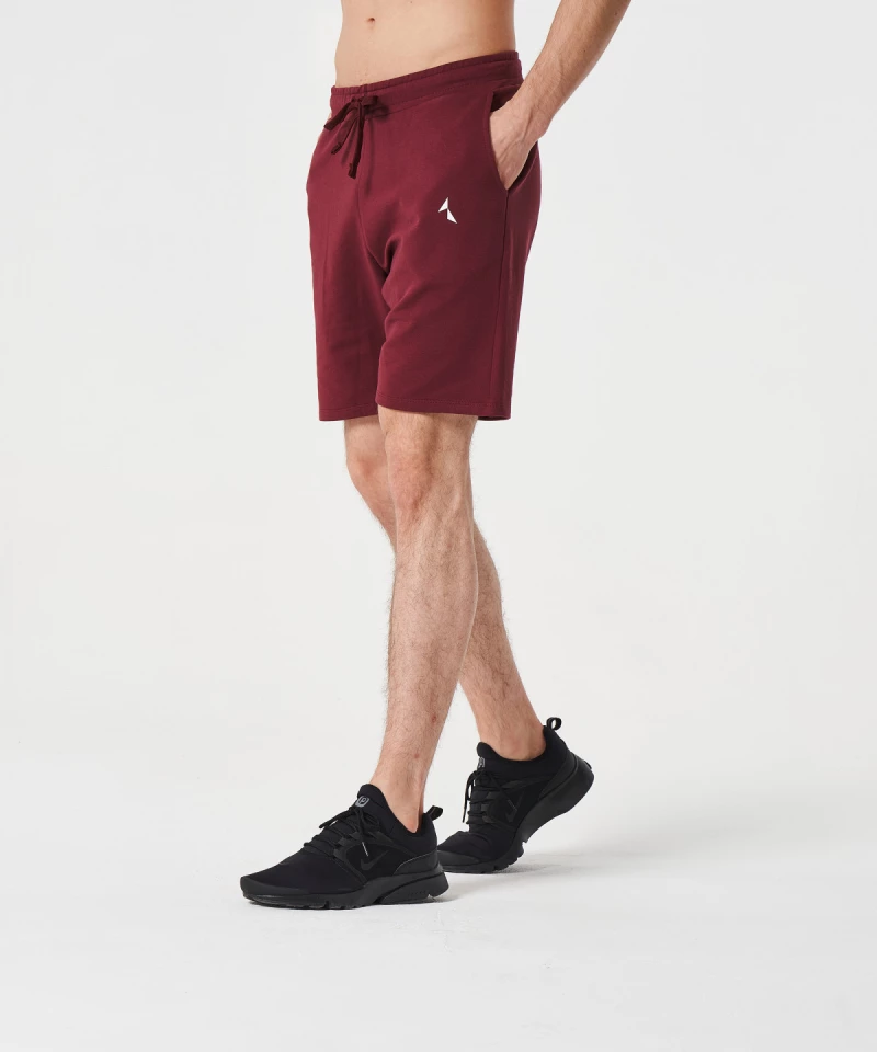 Burgundy Alpha Shorts 5
