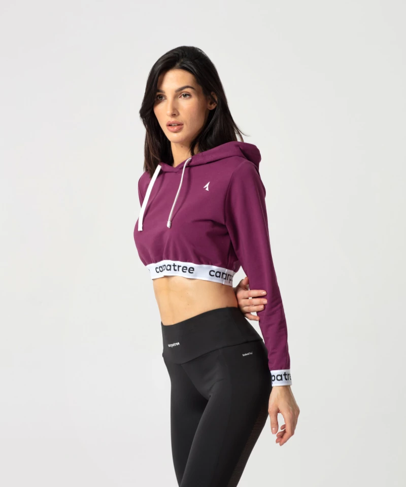 Blueberry Jolly Cropped Hoodie 4
