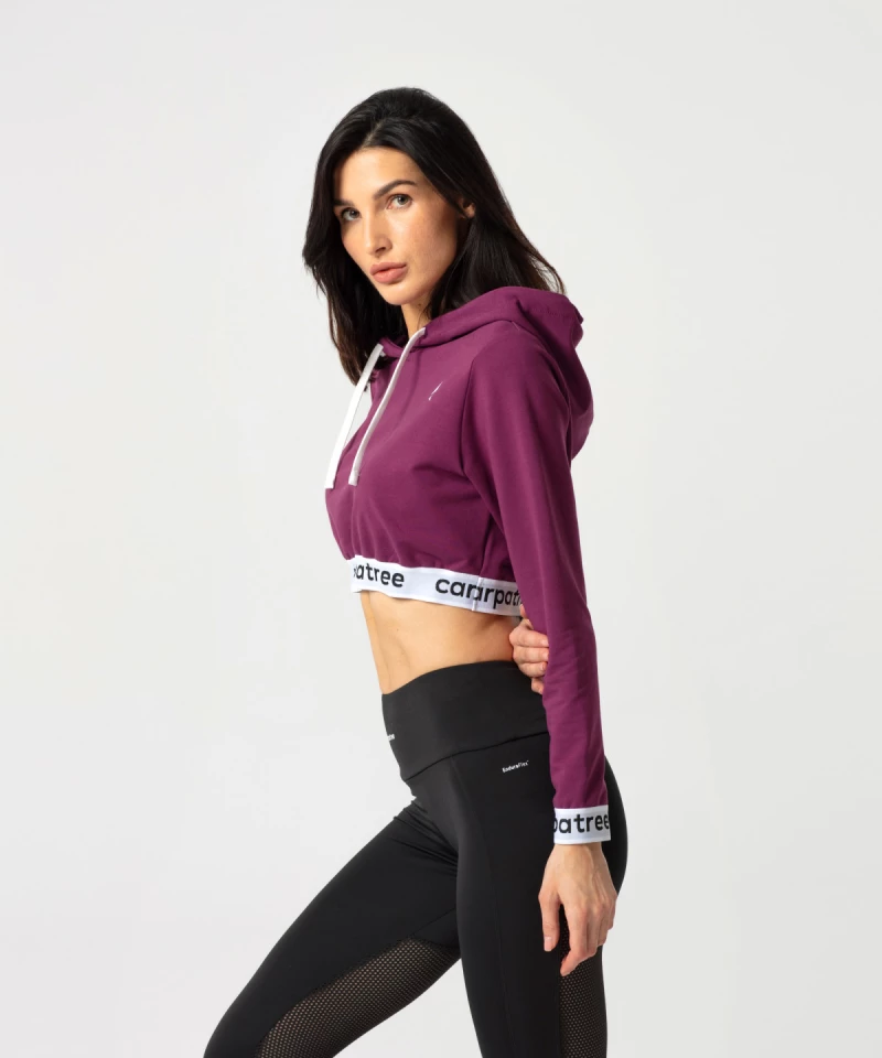 Blueberry Jolly Cropped Hoodie 5