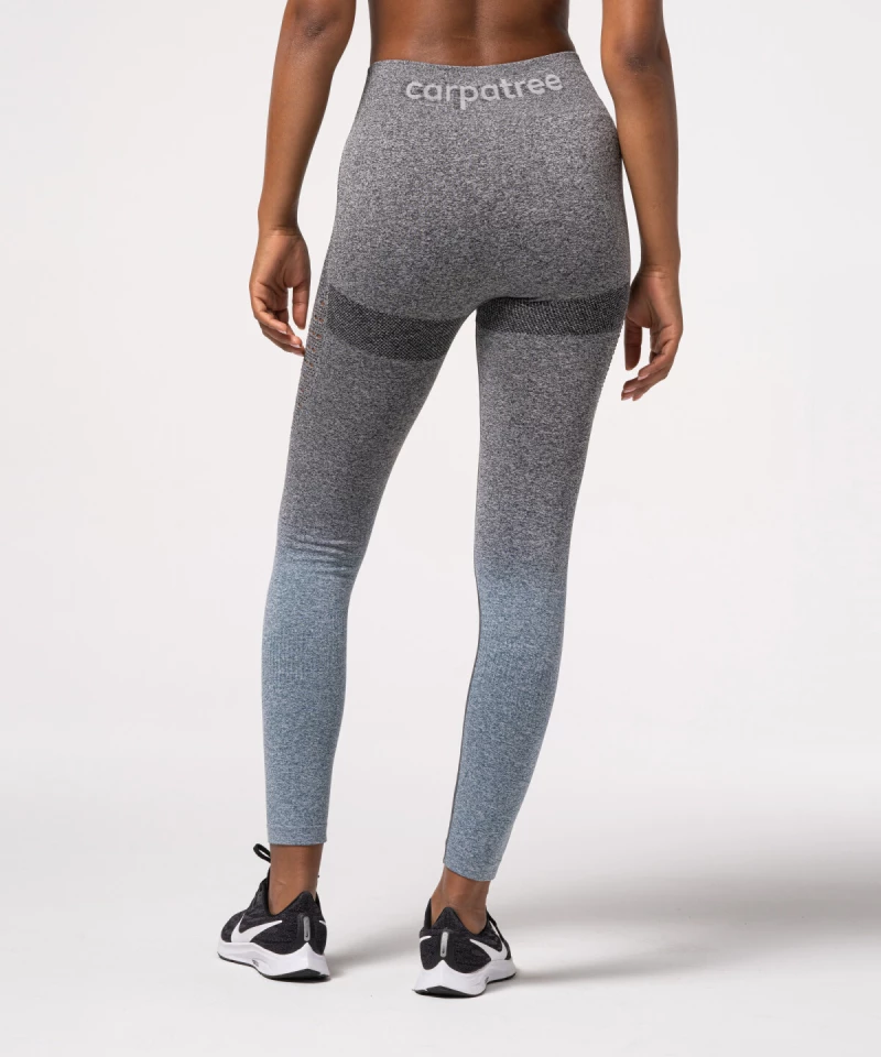 Blue and grey Phase seamless leggings