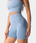 Blaze High Waist Seamless Shorts