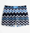 Blue fiesta Swim Shorts