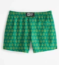 Green Sailboats Swim Shorts