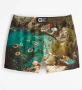 Retro Holiday Swim Shorts