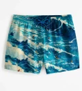 Surfers Swim Shorts