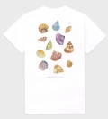 Shells Womens T-shirt