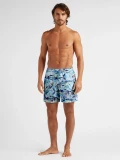 Fish Swim Shorts