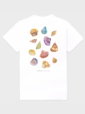 Shells Womens T-shirt