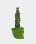 Braided cylindrical snake plant in a green concrete skull, Plants & Pots