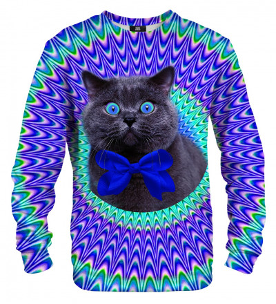 crazy cat sweater