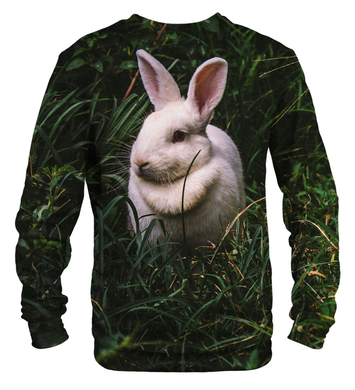 Rabbits Studium Jumper 特価窓口 todosaqui.com.br